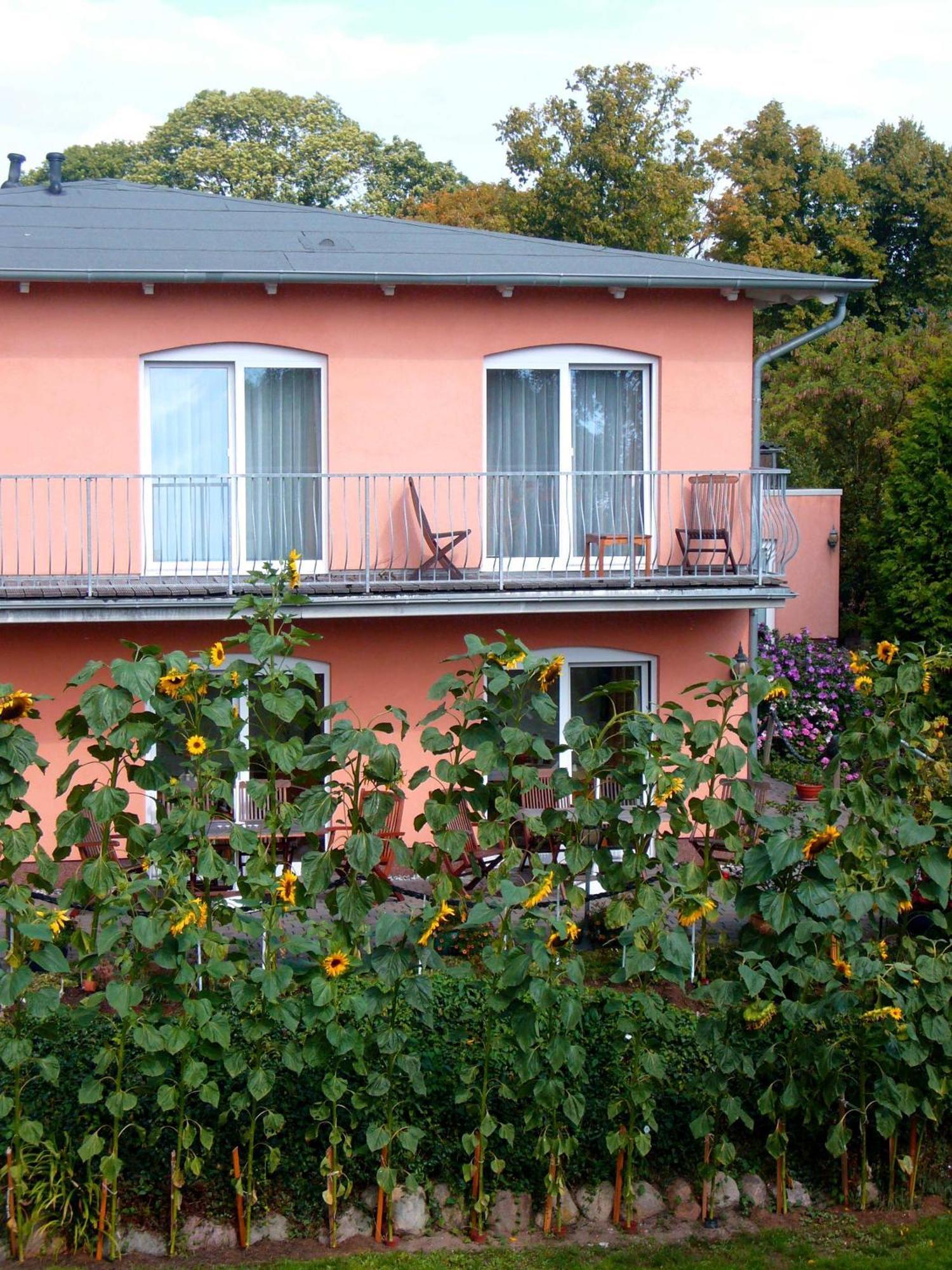 Pension Waldeck Герен Екстер'єр фото